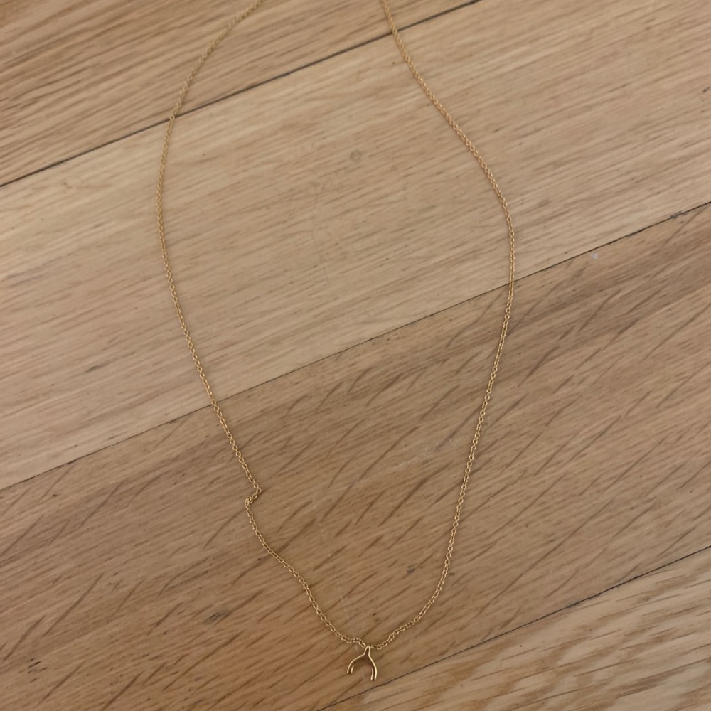 Gold Wishbone Necklace